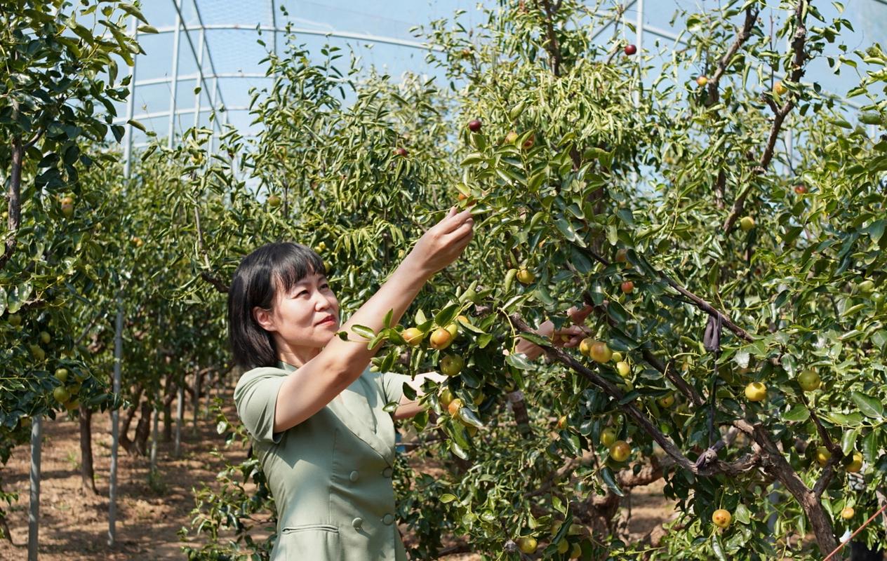 滨州烟冠水果批发市场（山东滨州水果）